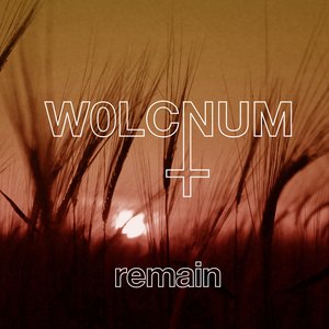 Remain