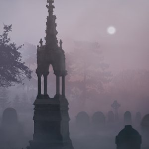 Avatar for Cemetery Confessions