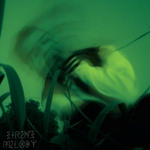 “Siren's Melody”的封面