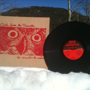 Owls from the Firewater