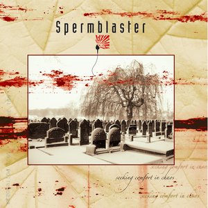 Seeking Comfort In Chaos