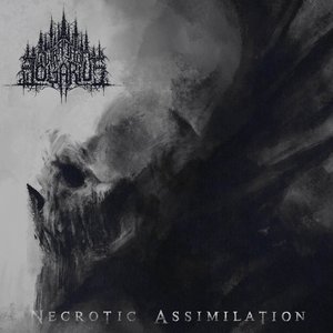 Necrotic Assimilation - EP