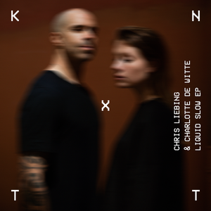 Chris Liebing & Charlotte De Witte - Liquid Slow EP - Zortam Music