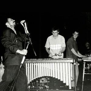 Avatar for Tom Zé & members of Tortoise