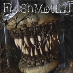 Fleshmould 2k