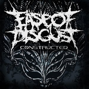 Constructed - Single