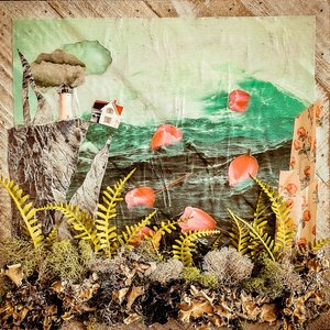 Sea Kelp