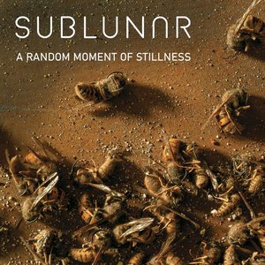 A Random Moment of Stillness