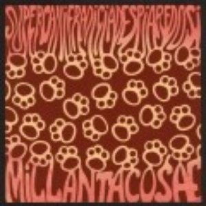 MILLANTA COSAE