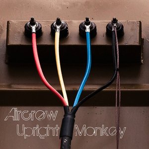 Upright Monkey