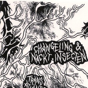 Changeling & Nackt Insecten 的头像
