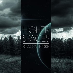Higher Spaces