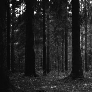Queen of the Forest