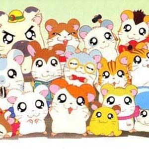 Awatar dla Hamtaro