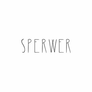 Sperwer 的头像