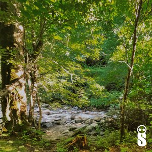 poison ivy (nothing to me) (feat. Quedronol) - Single