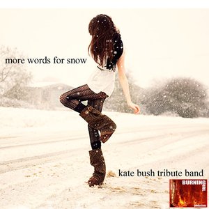 More Words For Snow