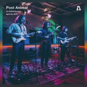 Post Animal on Audiotree Live