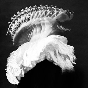 Awatar dla Carla Lippis