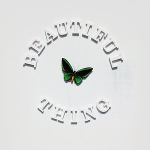 Beautiful Thing - Single