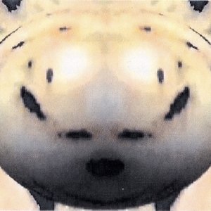 Avatar for Mike Dred & Peter Green