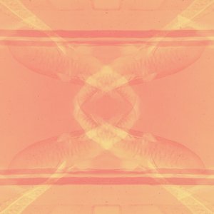 No Man Is an Island (Crowd Shy Remix) - Single