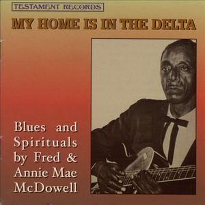 My Home Is in the Delta cover