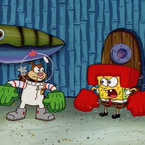 Sandy and SpongeBob SquarePants 的头像