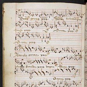Egidius de Aurelia 的头像