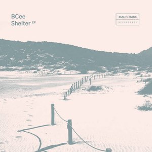 Shelter