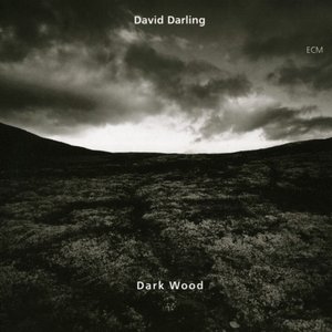 Darkwood