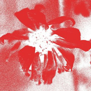 Wrong Thing (Baths Remix) - Single