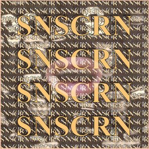 Avatar for snscrn