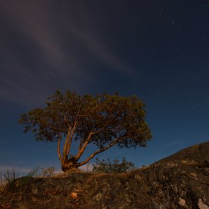 The Overlook