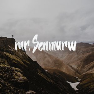 Mr.Senmurw 的头像