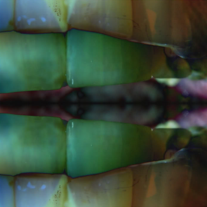 Reverse Entropy Catalyst cover