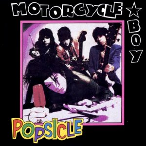 Popsicle cover