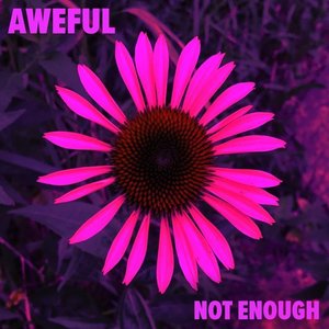 Not Enough - Single