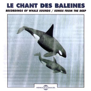 Le chant des baleines - Recordings of whale sounds (Songs from the deep)