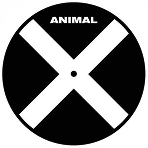 Animal X