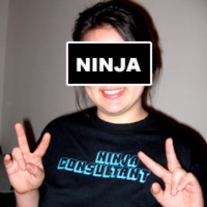 ninjaconsultant.com 的头像