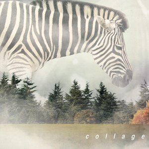 Collage