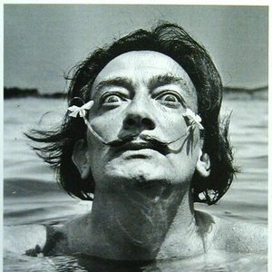 Salvador Dali 的头像