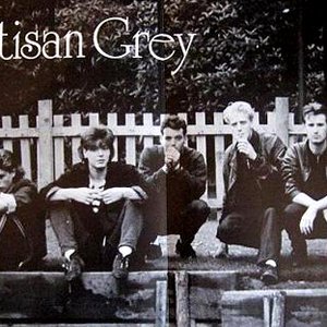 Partisan Grey 的头像