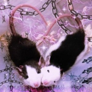 Rata Inmunda - Single