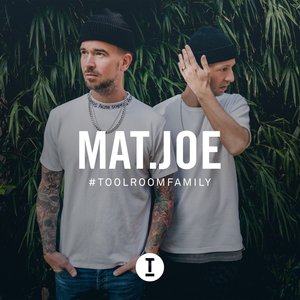 Toolroom Family (DJ Mix)