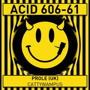 Cattywampus - Single