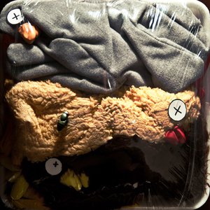 Nicht alles was Flügel hat fliegt