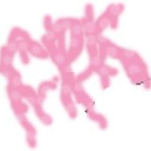 “C.P.K.”的封面