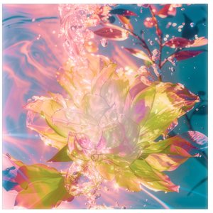 mother :;~ rebirth